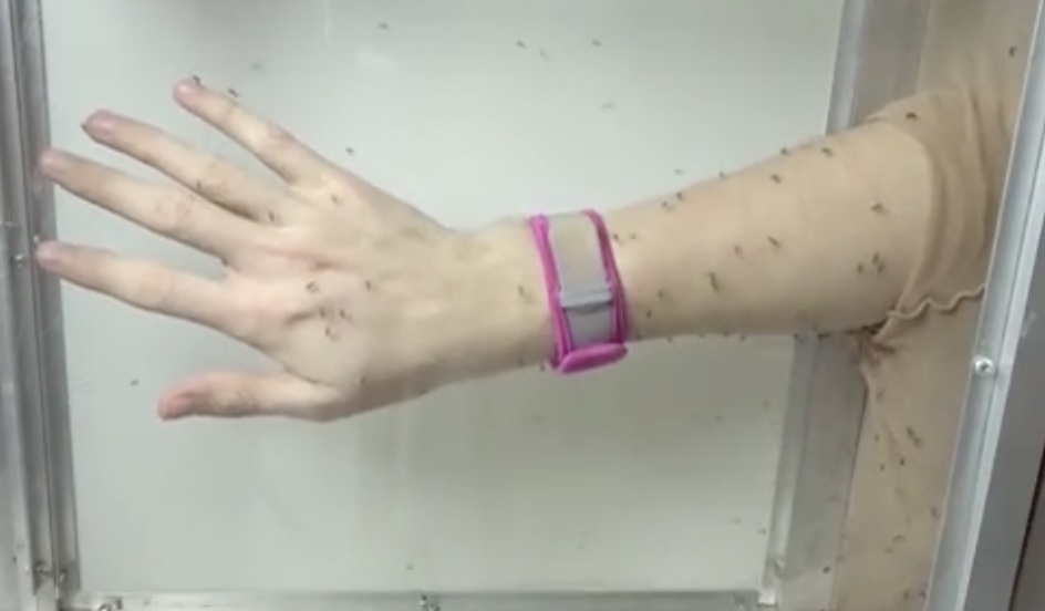La preuve que les bracelets anti-moustiques ne servent à rien