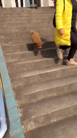 Je vais prendre les escaliers