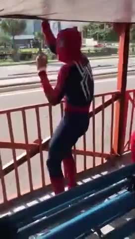 Cosplay de Spider-Man + Bus