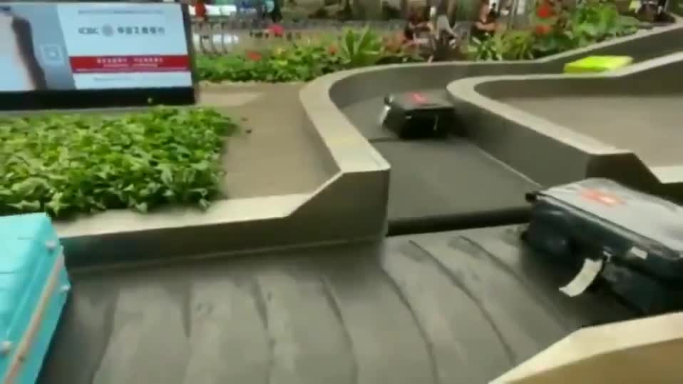 L'arrivée des bagages à l’aéroport de Singapour