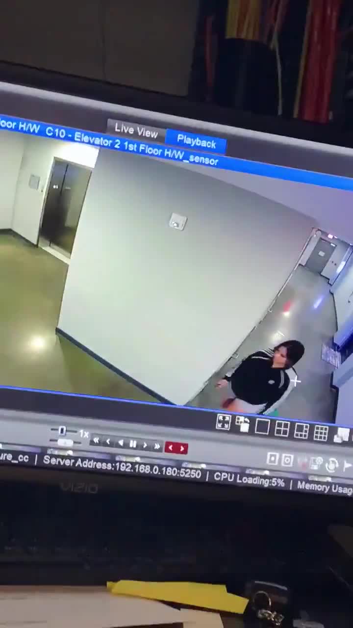 Elle oublie son chien en dehors de l’ascenseur