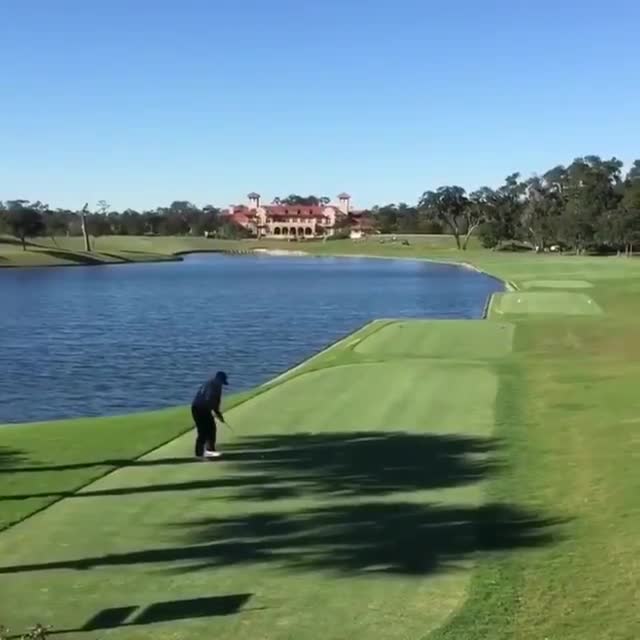 Un oiseau traverse un terrain de golf sans regarder