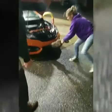 Une fille trouve un raton laveur dans sa voiture