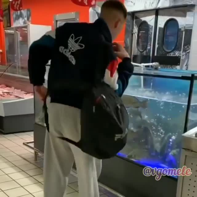 Il récupère une bague dans le vivier d'un supermarché