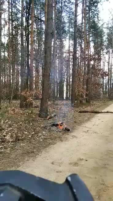 Deux idiots essaient de casser un tronc d’arbre avec un autre tronc d'arbre