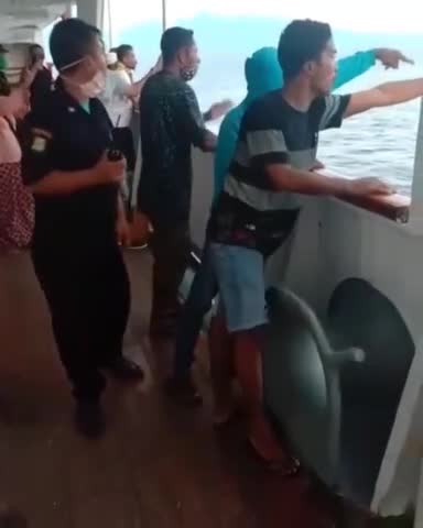 Ils sautent à la mer pour ne pas se faire confiner dans leur bateau (Indonésie)
