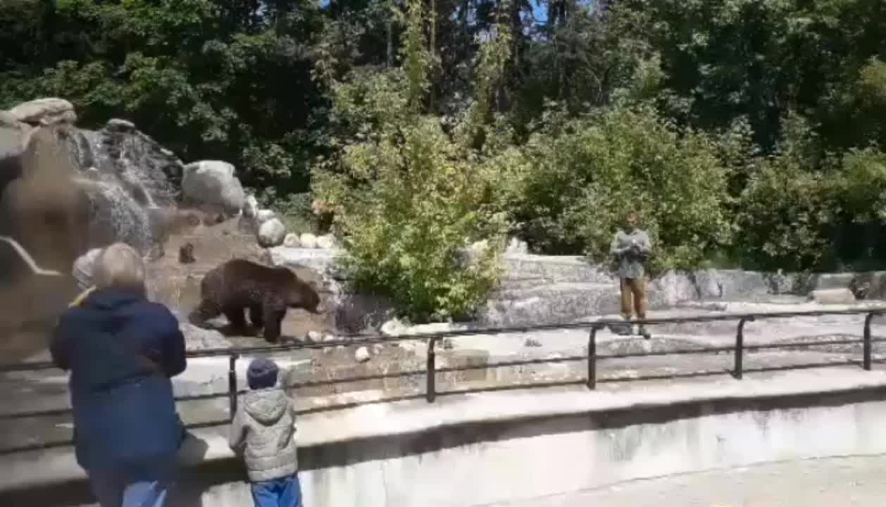 Ivre, il tente de noyer un ours (Pologne)