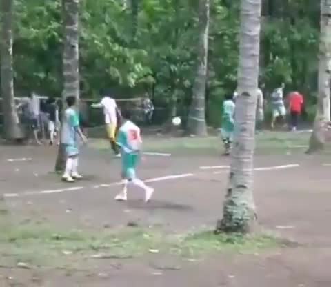 Des arbres au milieu d'un terrain de foot (Indonésie)