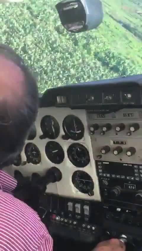 Ce pilote d’avion se pose au milieu d'une forêt