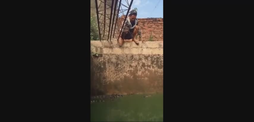 Un homme fait trempette dans une fosse d'alligators