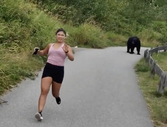 Une joggeuse croise un gros ours noir