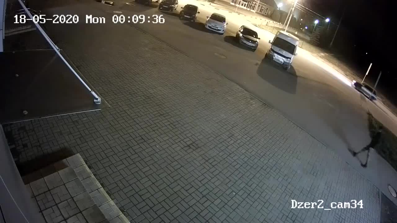 Un ours attaque un homme sur un parking (Russie)