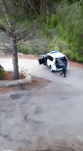 Des policiers tentent d'arrêter une camionnette (Espagne)