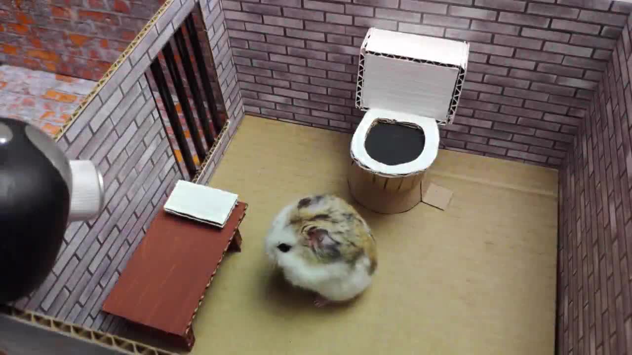 Un Hamster s'évade de prison