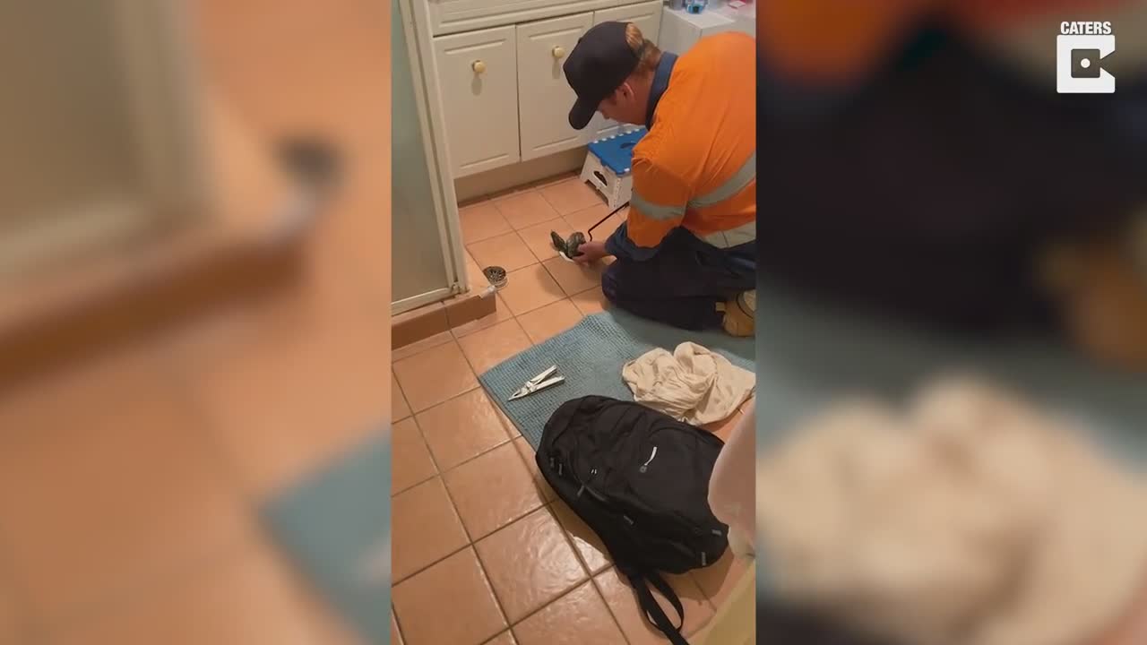 Un plombier fait une belle trouvaille dans une salle de bain (Australie)