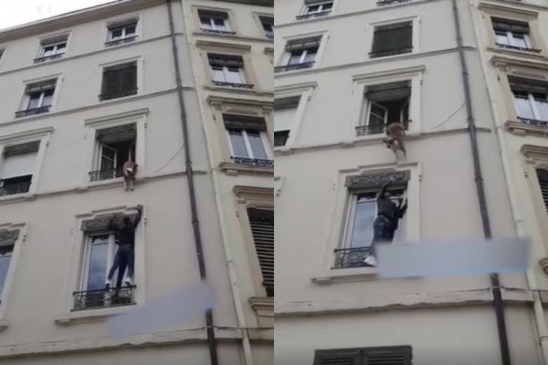 Des voisins sauvent un chien suspendu à un balcon (Paris)